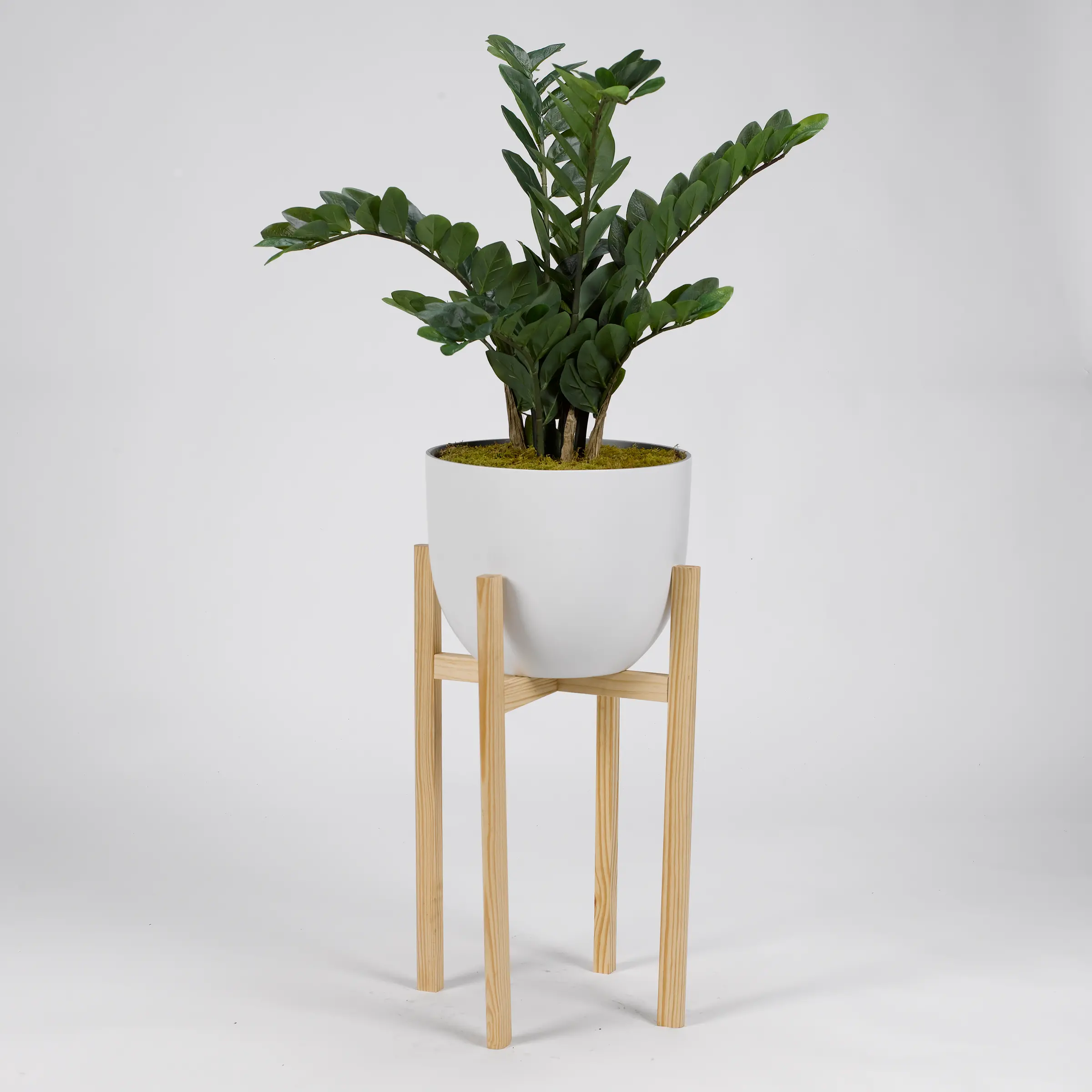 Faux Zamifolia Arrangement in White Planter with Wood Stand-1