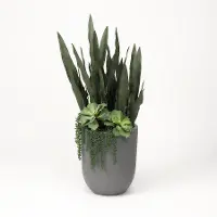 Faux Green Senaveria, Echeveria, and Cedum Arrangement in Gray Container