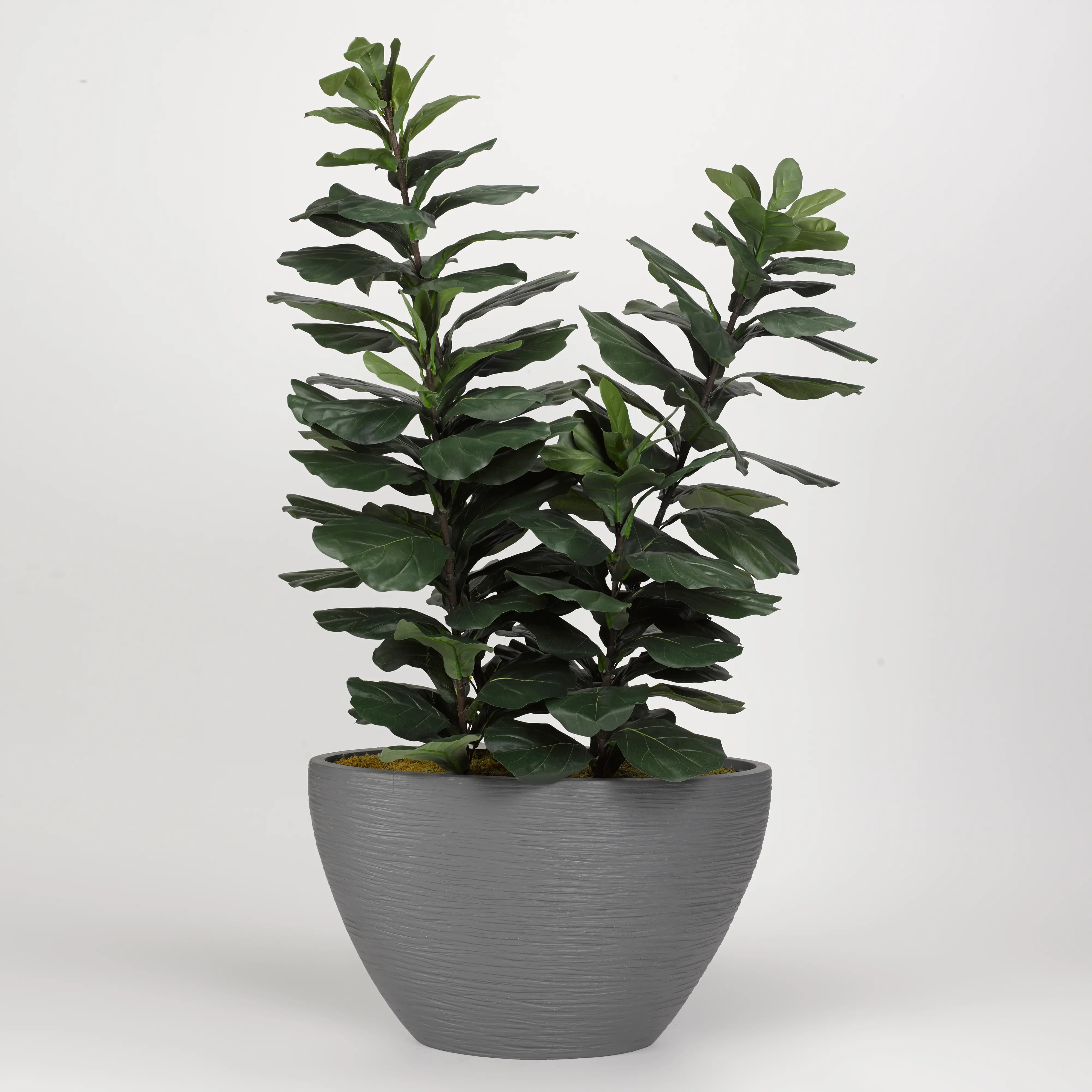 Green Faux Fiddle Leaf Fig Arrangement in Gray Planter-1
