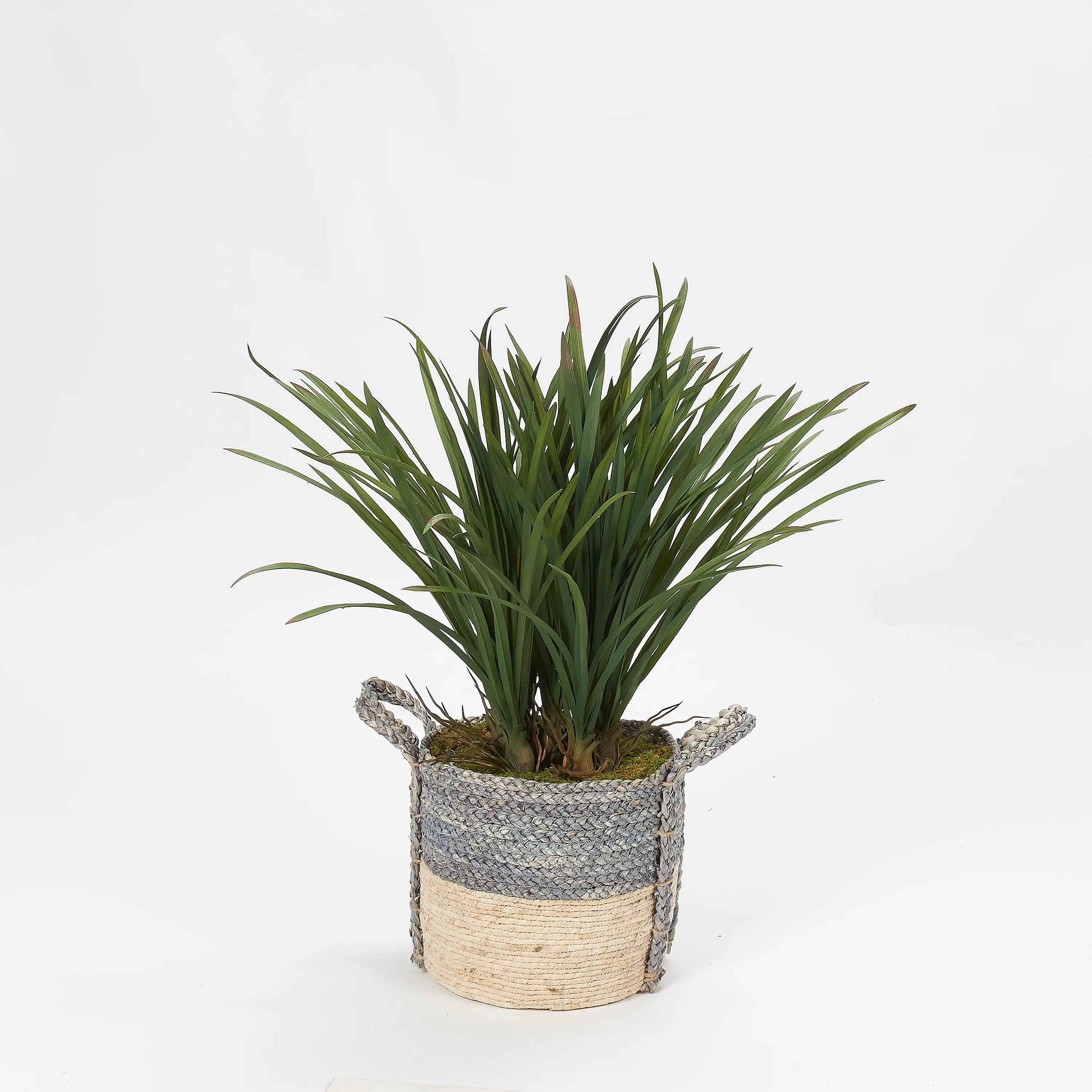 Faux Areca Green Grass Arrangement in Gray Basket-1