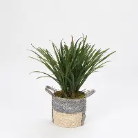 Faux Areca Green Grass Arrangement in Gray Basket