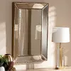 150-8869-RCW Contemporary Gold Finished Rectangular Accent Wall Mirror - Lamar