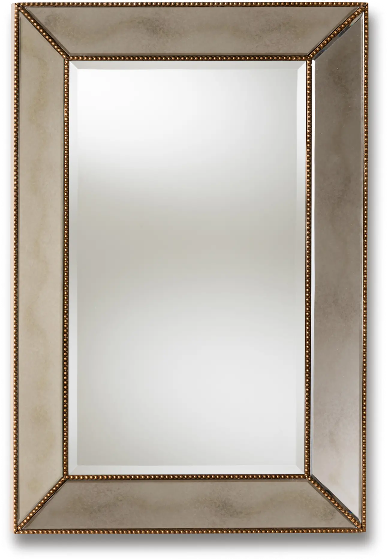 150-8869-RCW Contemporary Gold Finished Rectangular Accent Wall Mirror - Lamar-1