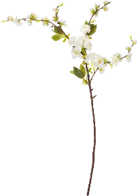 90991014B48 Magnolia Home Furniture Faux Cherry Blossom Branch for Arrangement