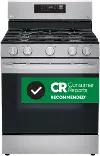 LRGL5823S LG 5.8 cu ft Gas Range - Stainless Steel