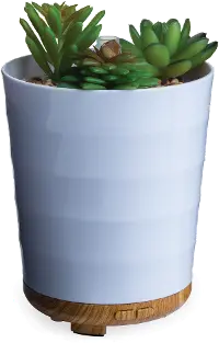 White Potted Faux Succulent Medium Airome Oil Diffuser