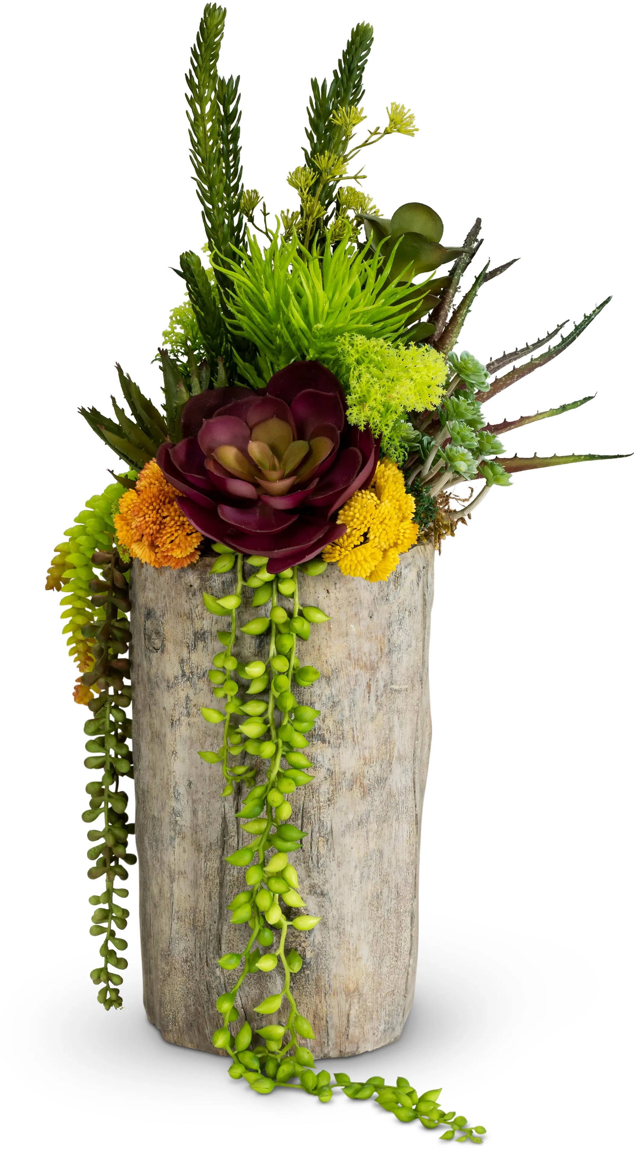 Multi Color Tree Trunk Succulent Arrangement-1