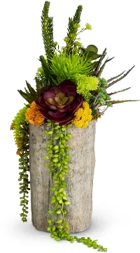 Multi Color Tree Trunk Succulent Arrangement