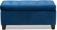 162-10459-RCW Contemporary Navy Blue Velvet Upholstered Storage Ottoman - Vonda