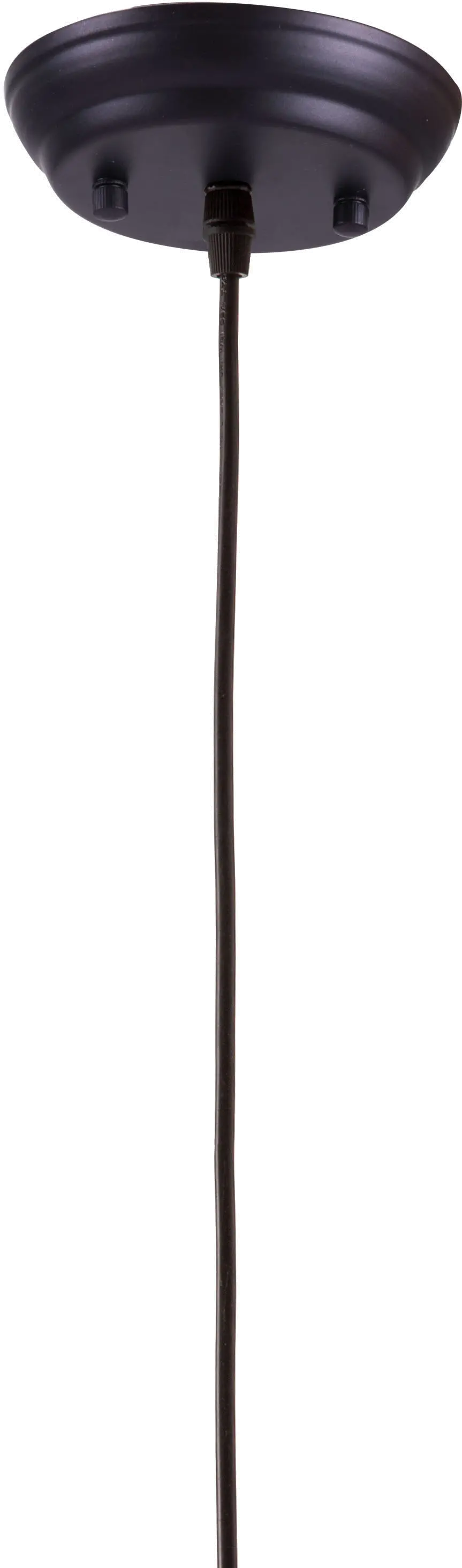 Bald Electroplated Gold Metal Ceiling Lamp-3
