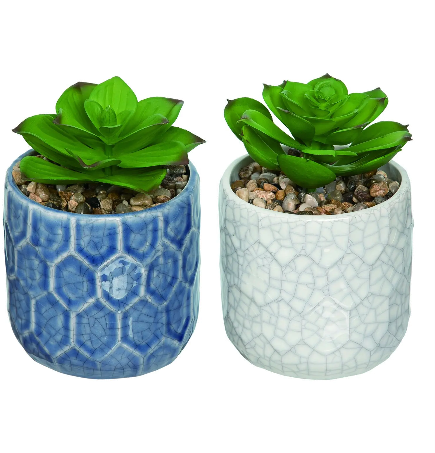 Assorted Faux Succulent Arrangement in Blue or White Ceramic Pot-1