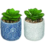 Assorted Faux Succulent Arrangement in Blue or White Ceramic Pot