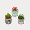 Assorted 3 Inch Potted Artificial Succulent Arrangement