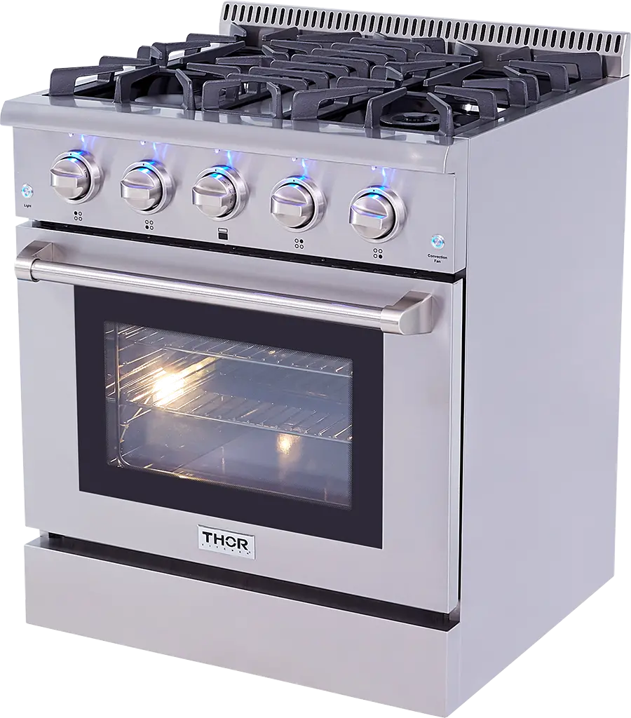 Thor Professional 4.2 cu ft Dual Fuel Range - Stainless Steel 30 Inch-2