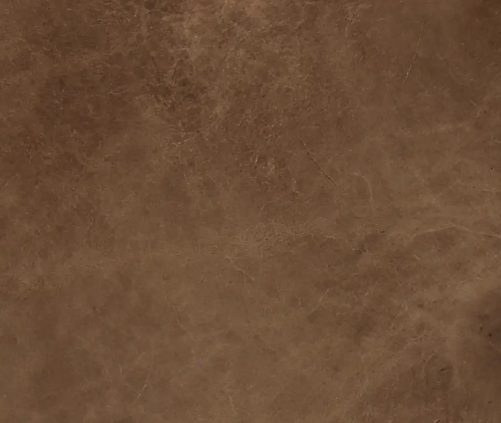 Tex Taupe Leather Sofa-9
