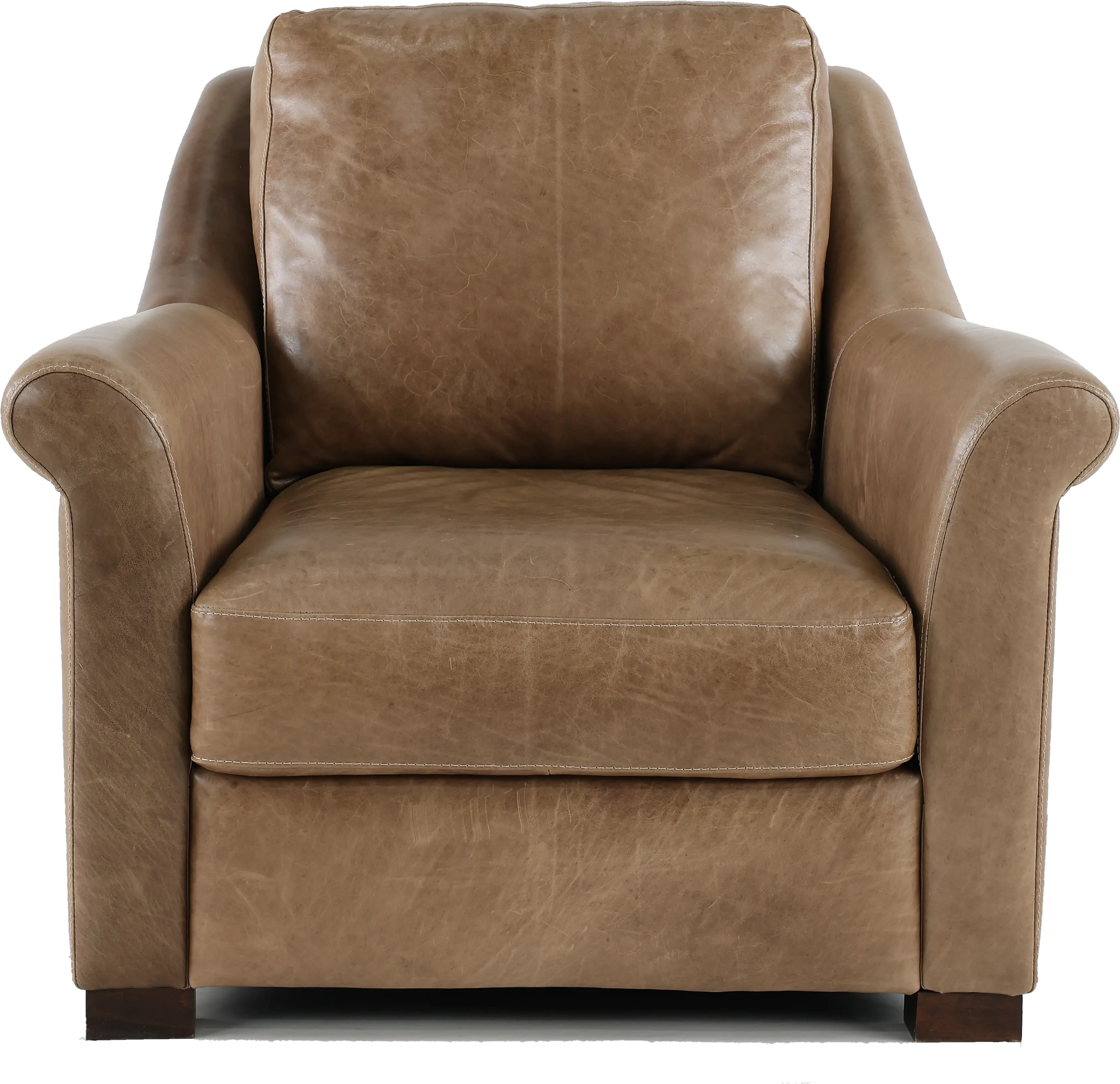 Tex Taupe Leather Chair-4