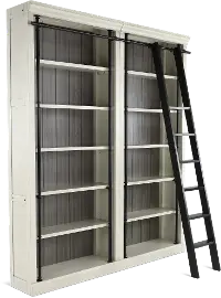 Toulouse Country Chic White Bookcase and Ladder Set