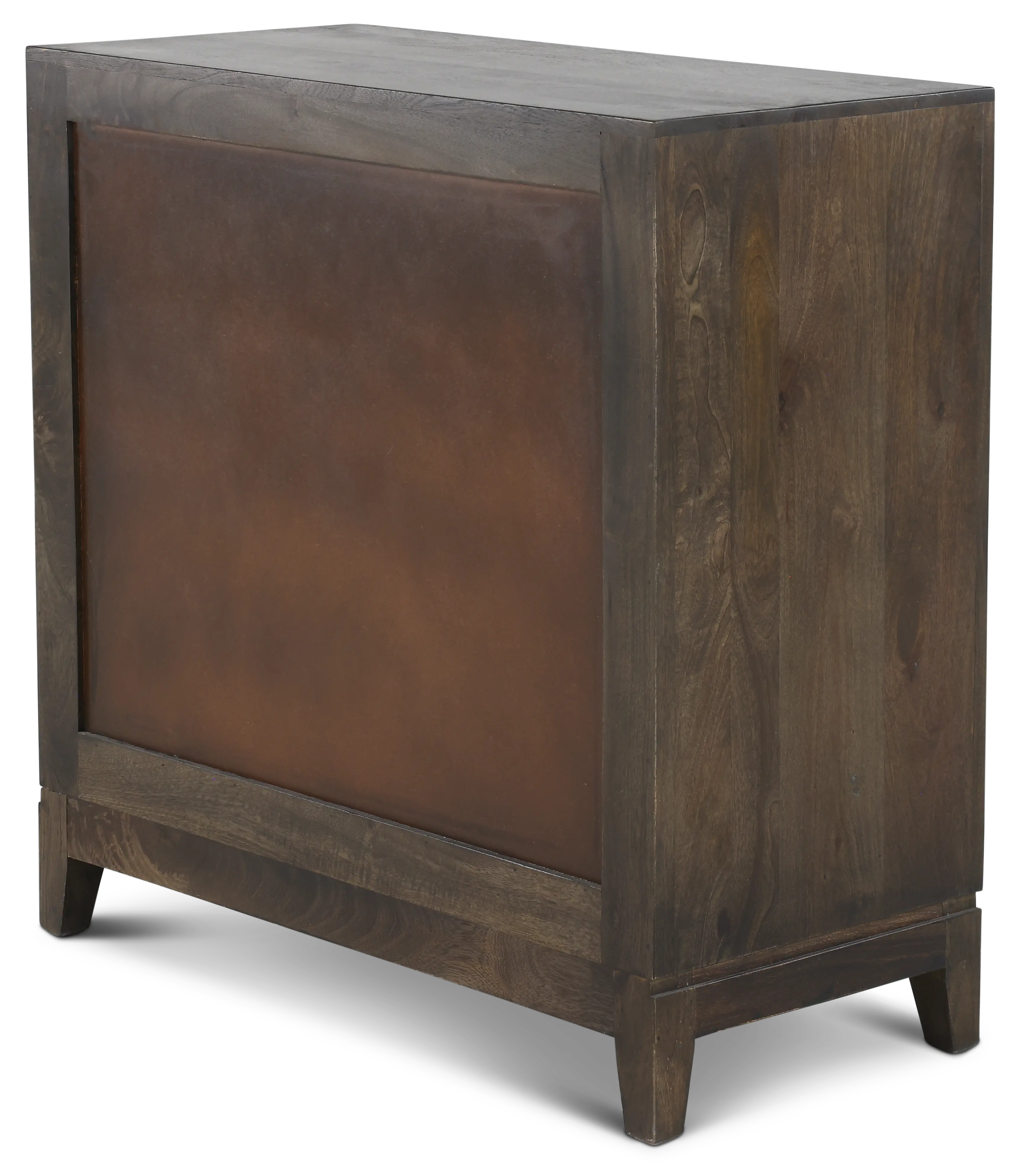 Abshire Dark Brown and Gold 2-Door Cabinet-5