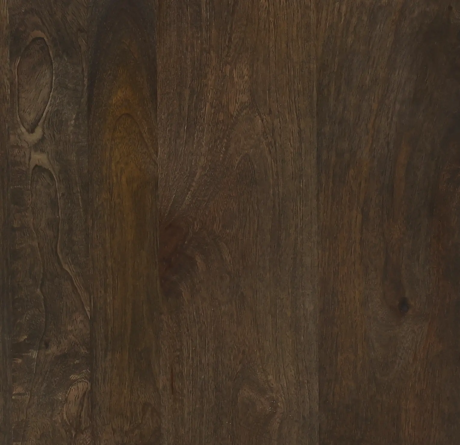 Abshire Dark Brown and Gold 2-Door Cabinet-9