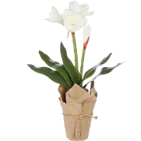 White 23 Inch Real Touch Potted Flower Arrangement