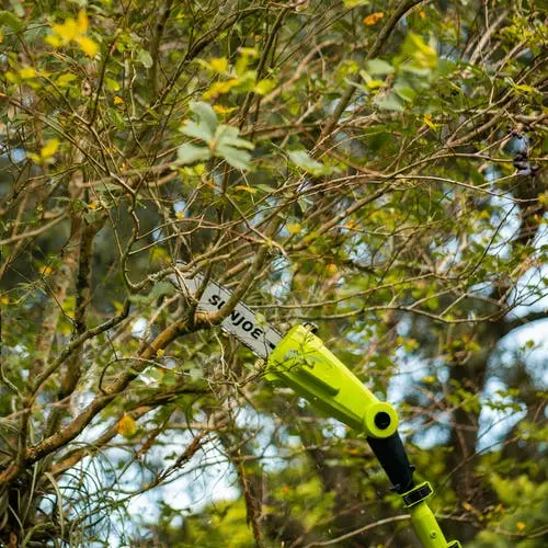 24V-PS10-LTE/POLESAW Sun Joe 24-Volt iON+ Telescoping Pole Cordless Chainsaw-6