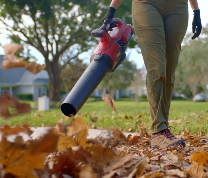 51821 Toro 60-Volt Max Lithium-Ion Cordless Brushless Leaf Blower-2
