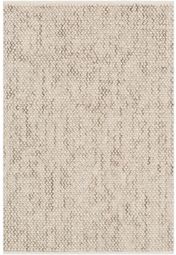 AER1002-576 5x8 Modern Taupe Handwoven Wool Rug - Avera-1