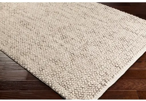 AER1002-576 5x8 Modern Taupe Handwoven Wool Rug - Avera-2