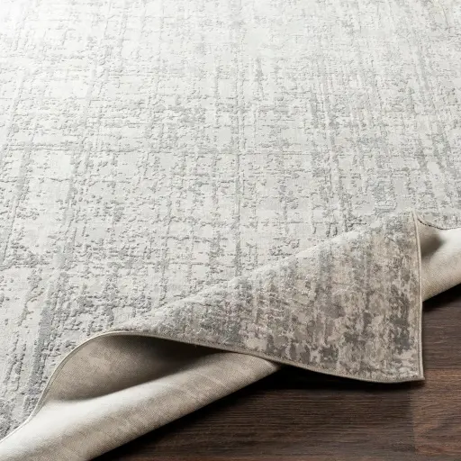AIS2305-6796 7 x 10 Gray Modern Lustrous Rectangle Rug - Aisha-3