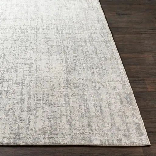 AIS2305-6796 7 x 10 Gray Modern Lustrous Rectangle Rug - Aisha-4