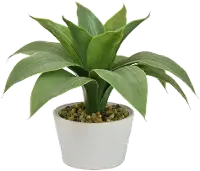 Artificial Green Arrangement Planter in Cream Pot