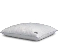 15332115 Sealy Conform Multi Comfort Standard Pillow