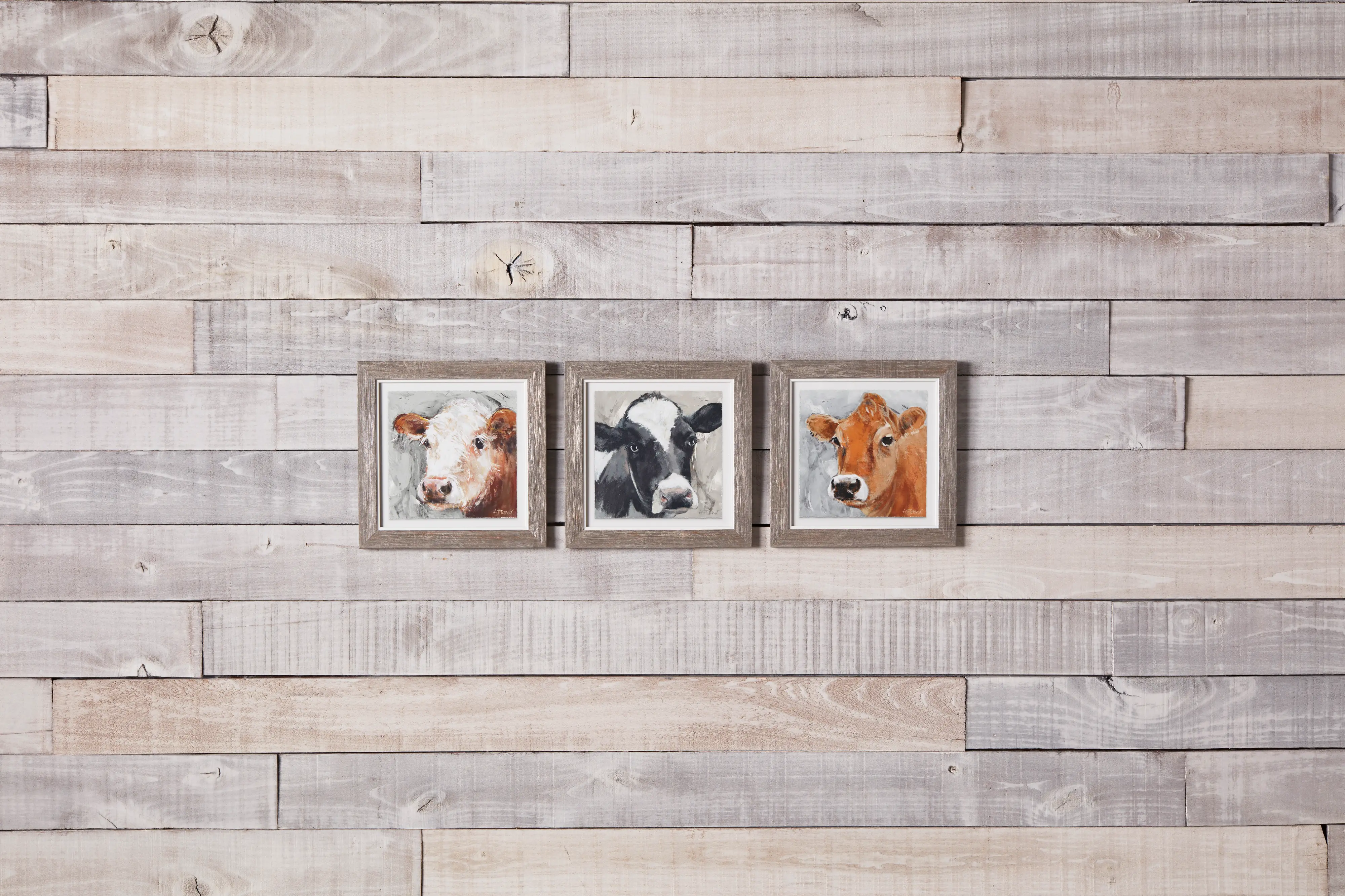 Wood Framed Cow Print-2