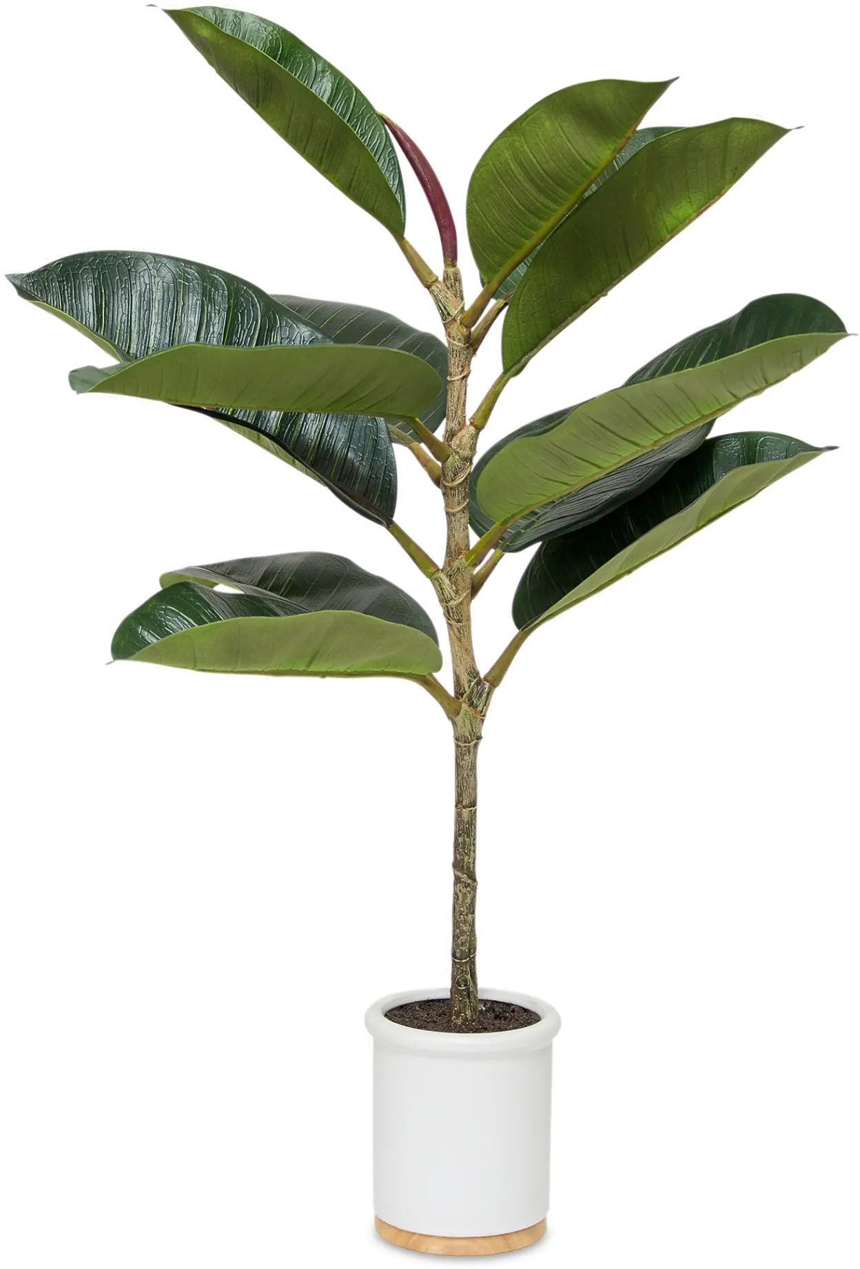 30  Potted Faux Rubber Tree Arrangement-1