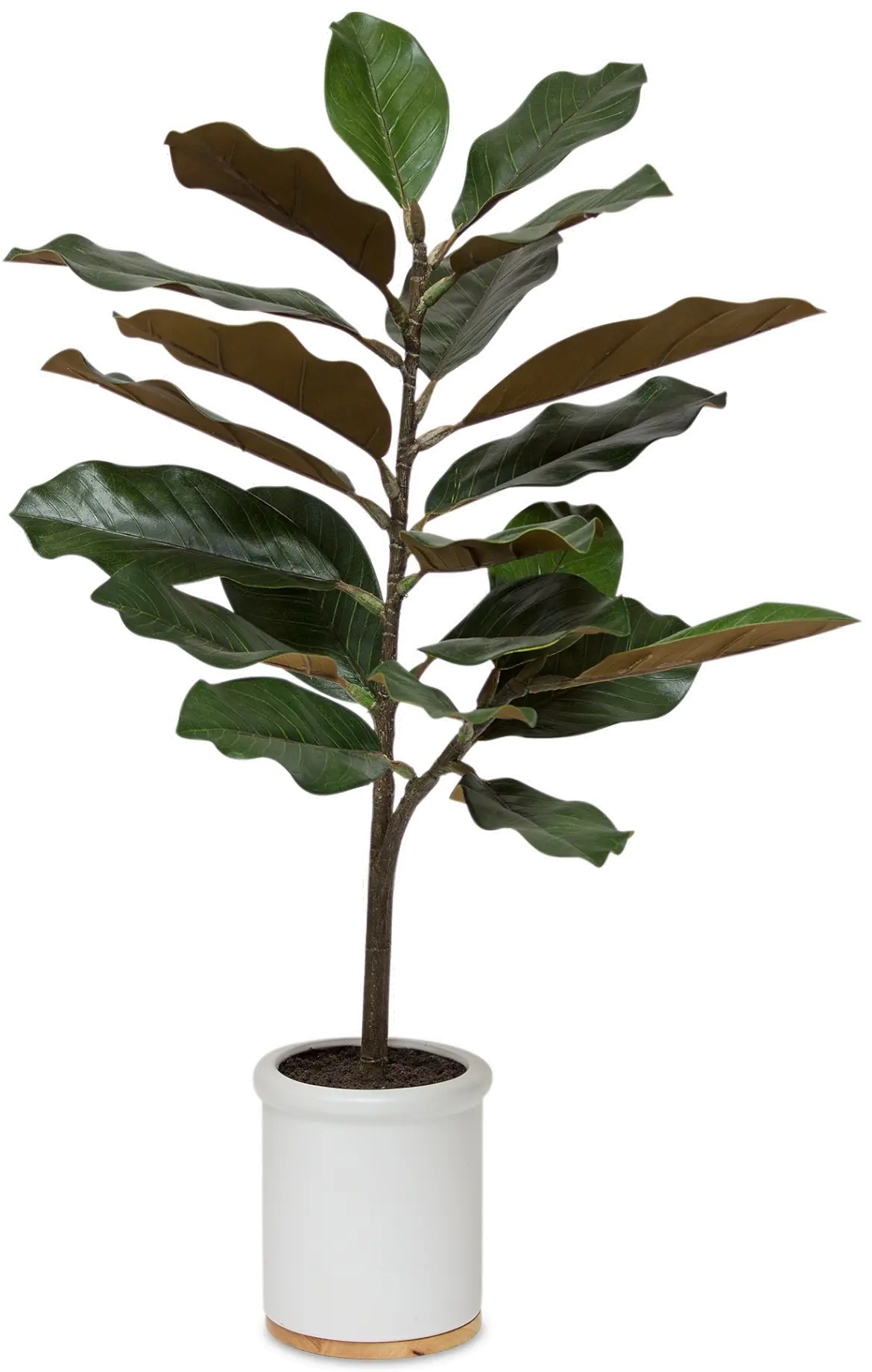 31  Potted Faux Magnolia Plant Arrangement-1