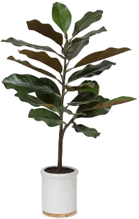 31  Potted Faux Magnolia Plant Arrangement