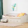13128 Plenny White Wash Daybed with Storage - South Shore