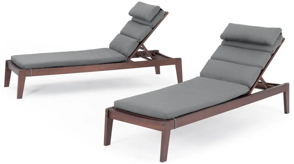 Charcoal Gray Chaise Lounges - Vaughn-3