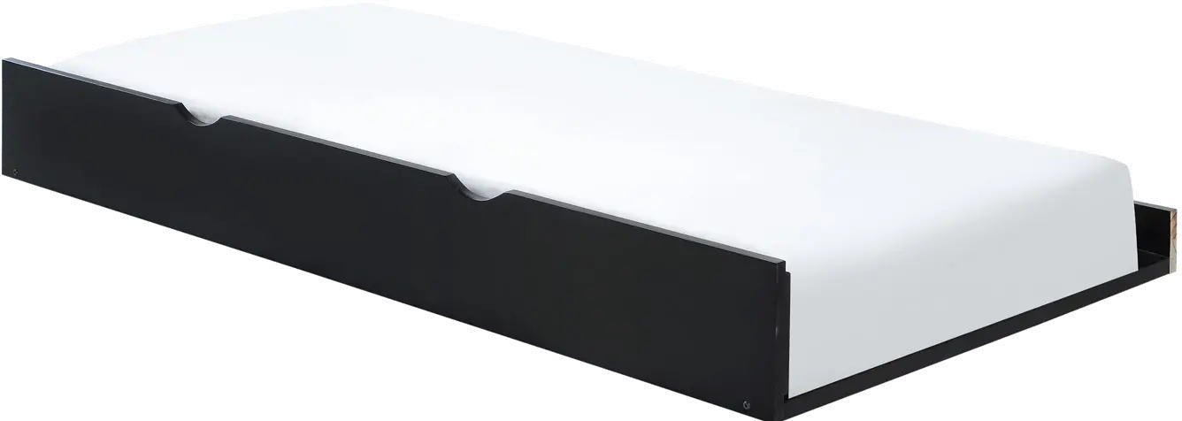 Livingston Black Twin Trundle-1