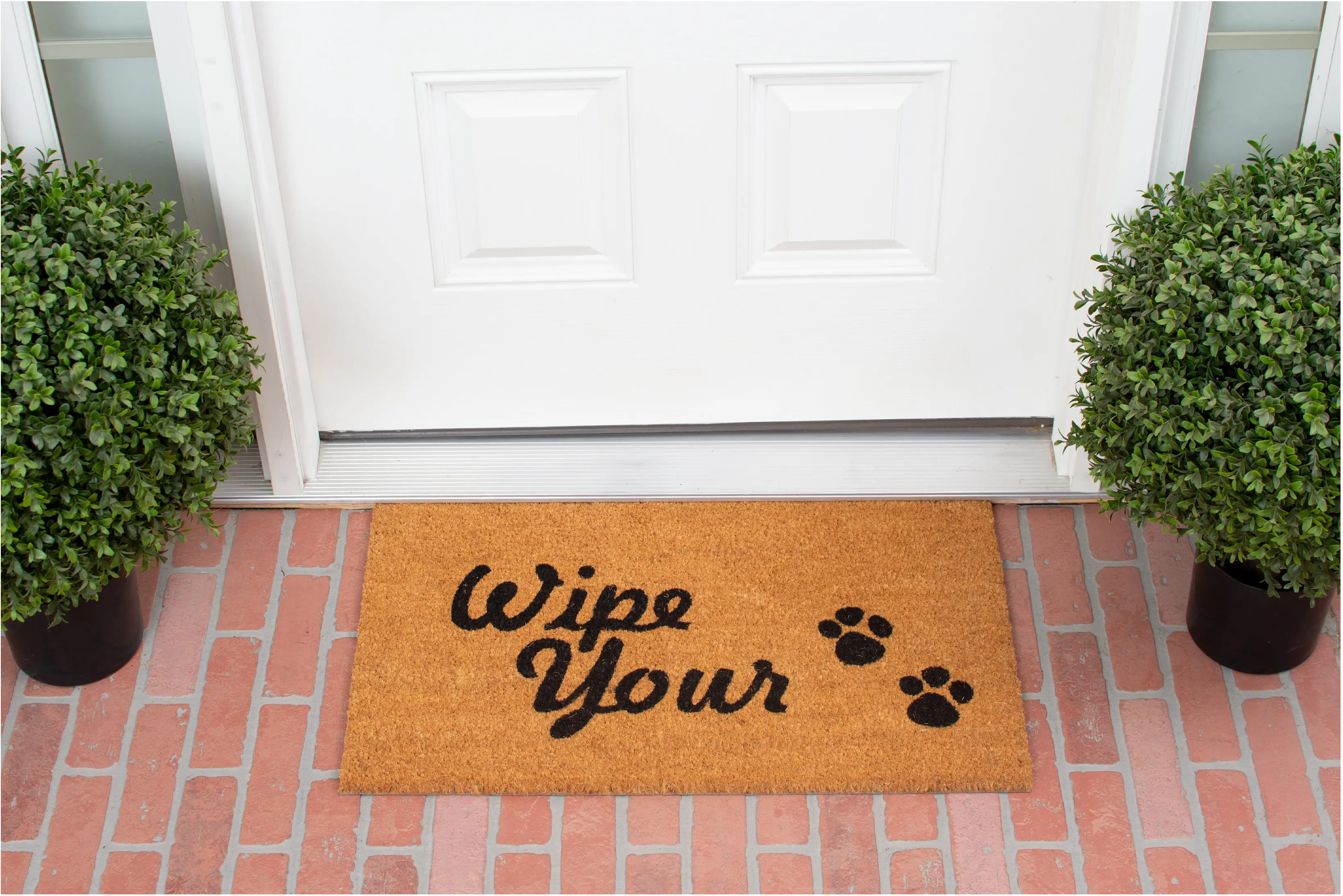100461729 Wipe Your Paws Doormat-2