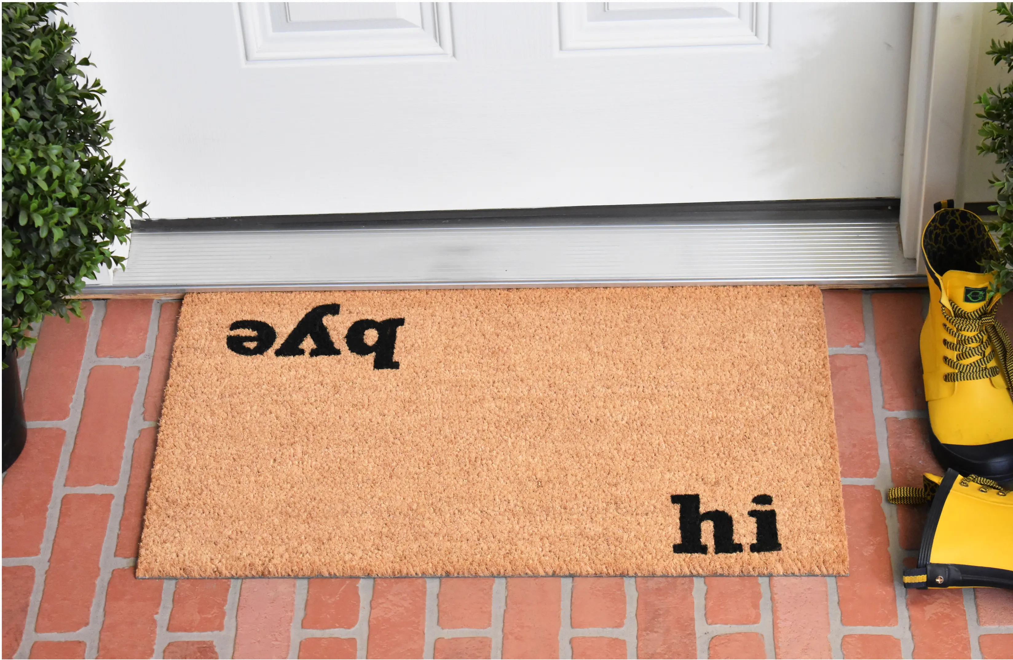 100501729 Hi, Bye Doormat-2