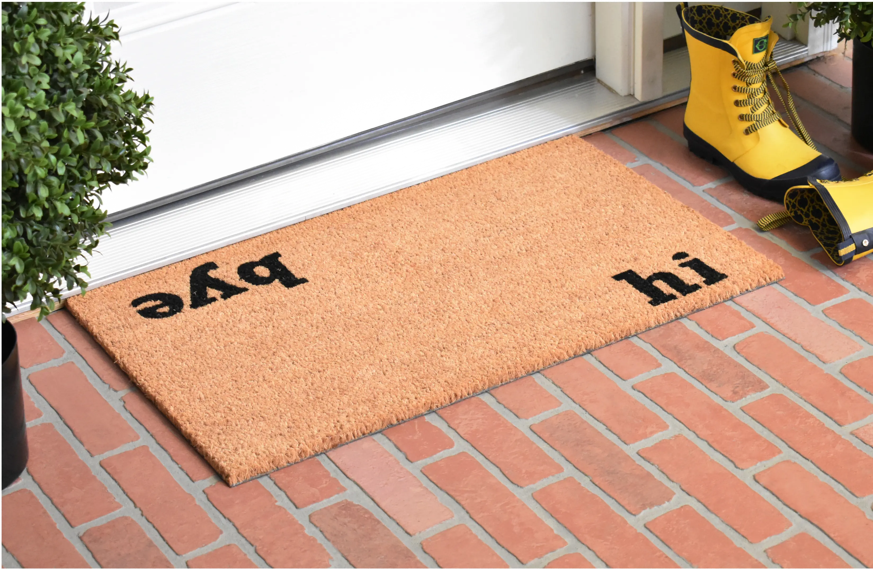100501729 Hi, Bye Doormat-3