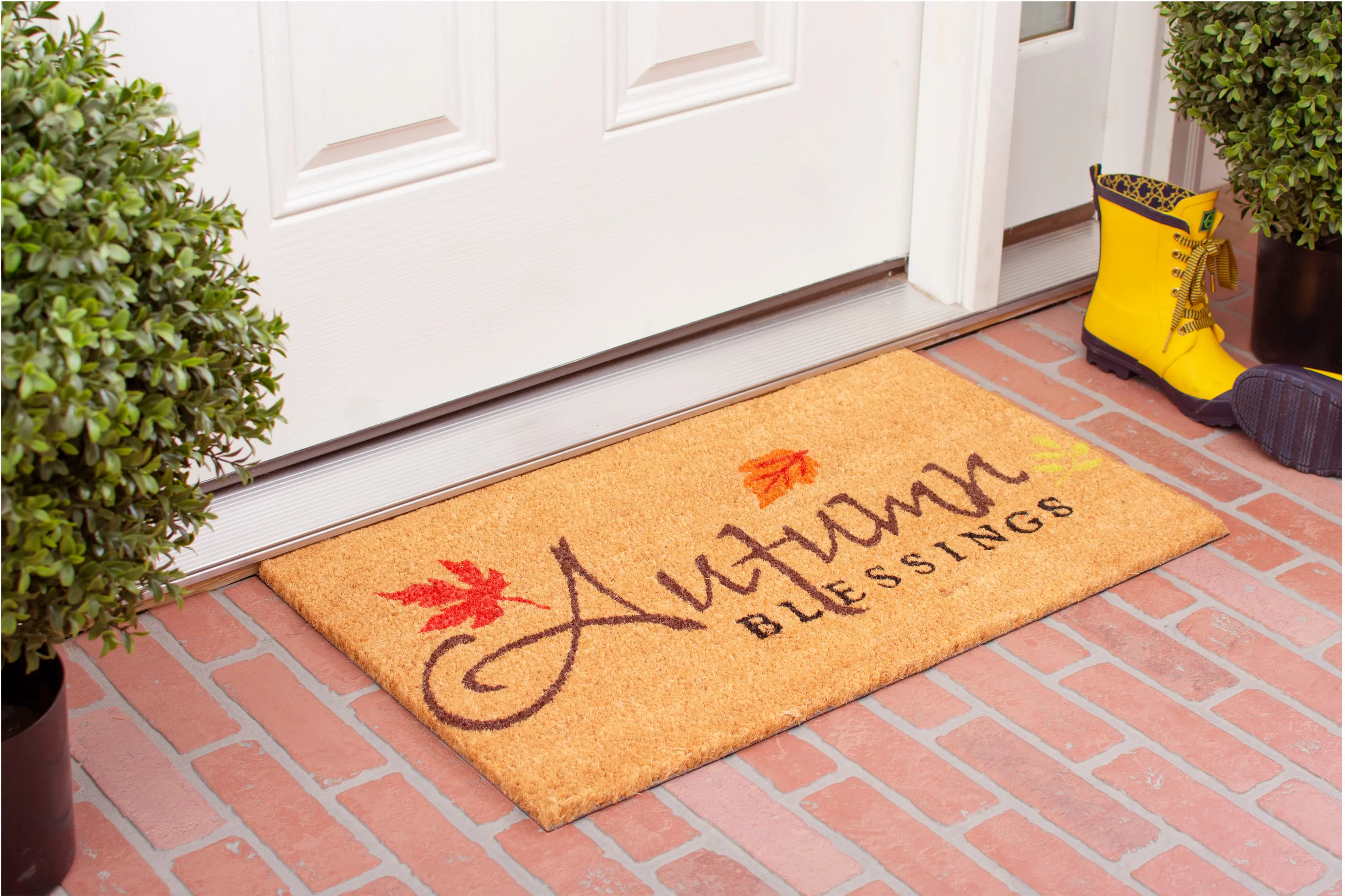 101841729 Autumn Blessings Doormat-3