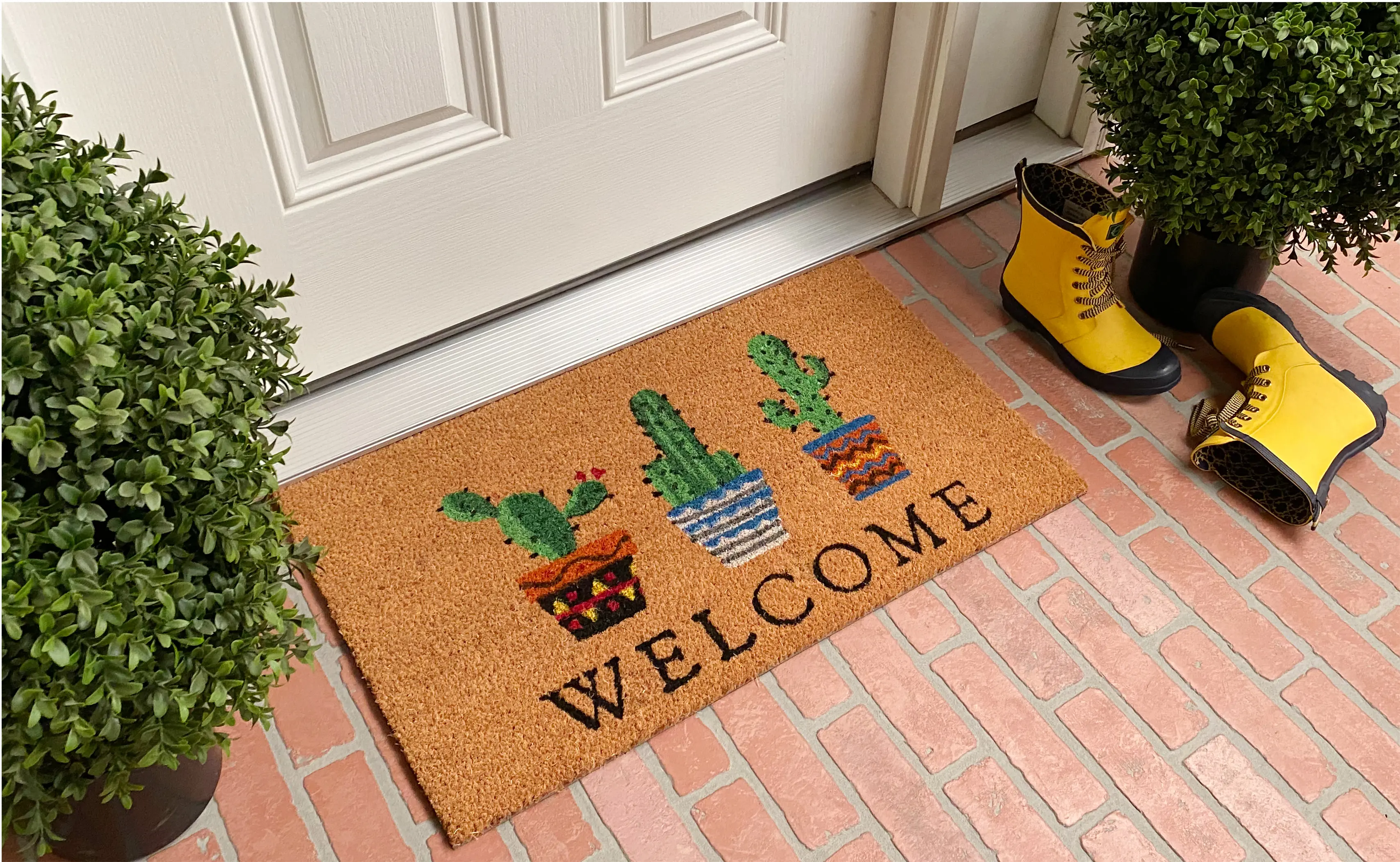 104051729 Cactus Welcome Doormat-3