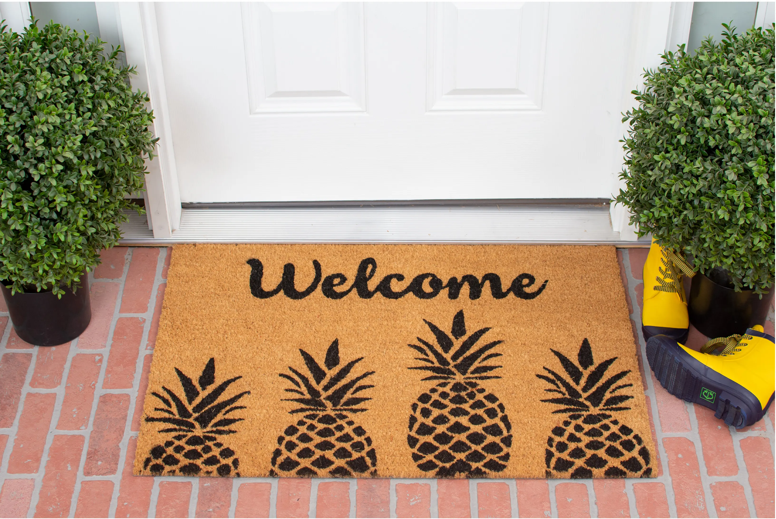104991729 Pineapple Express Doormat-2