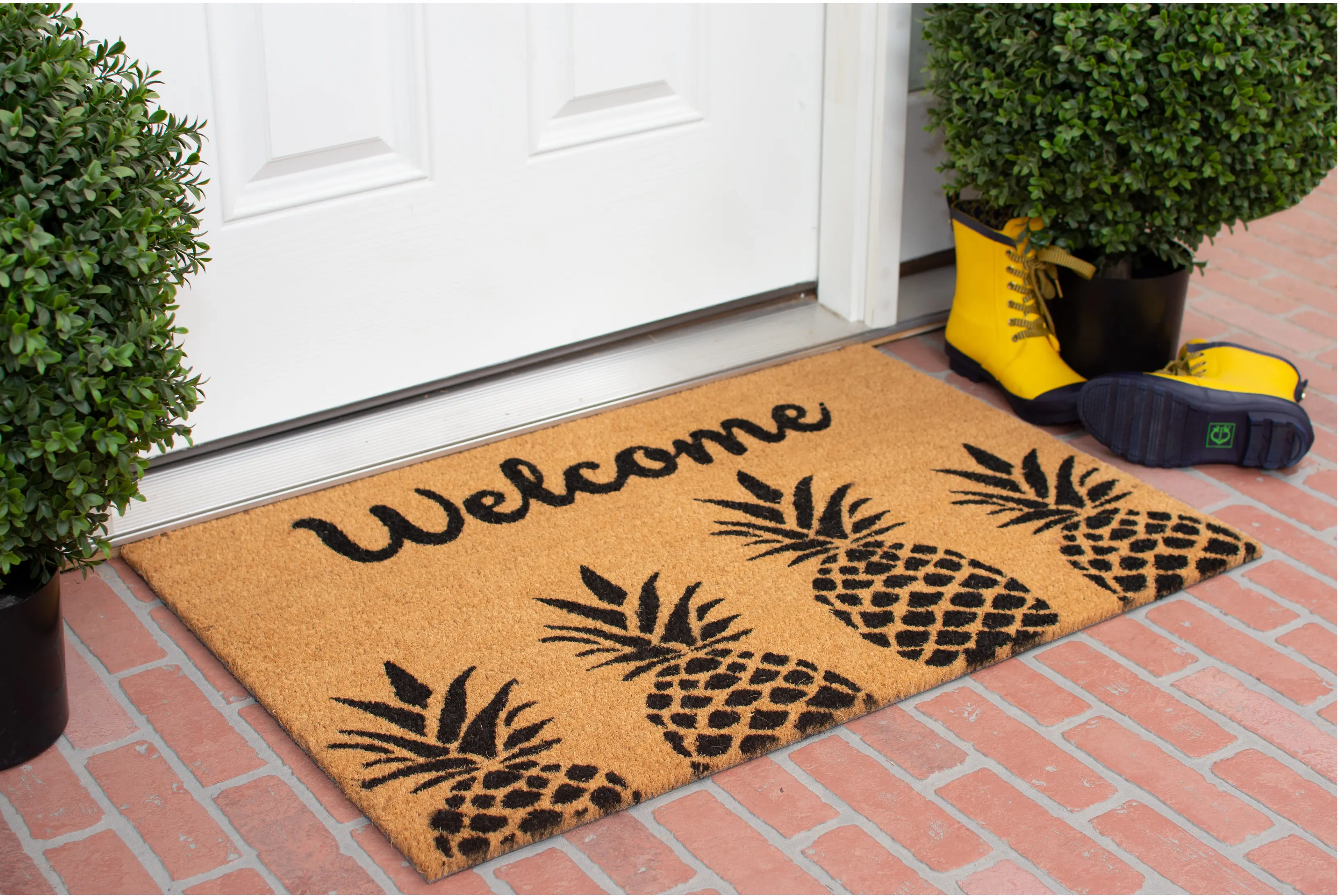 104991729 Pineapple Express Doormat-3