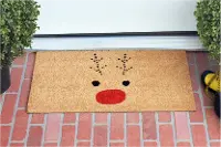 105011729 Rudolph Doormat