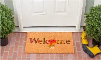 121301729 Fall Beauty Doormat