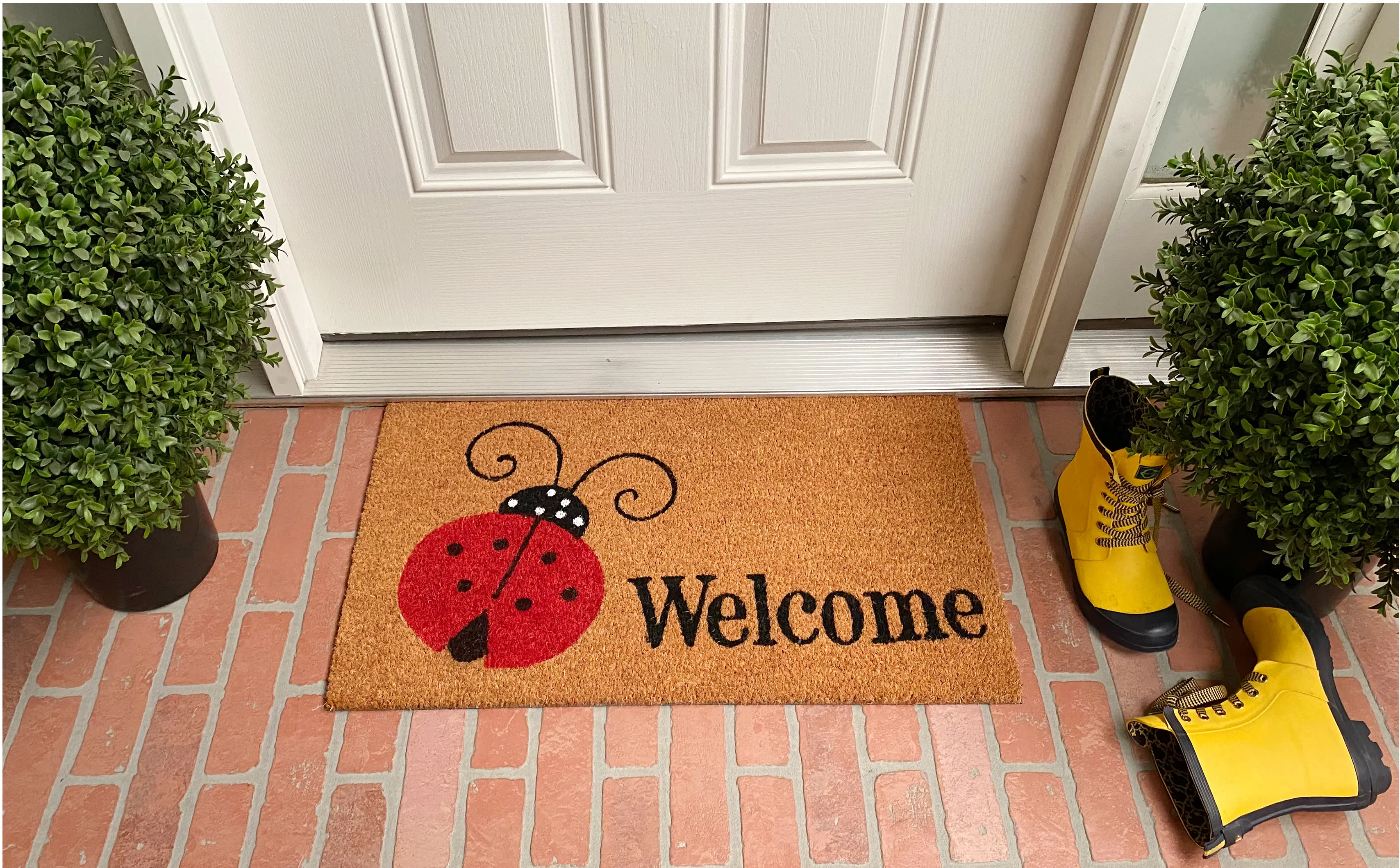 121431729 Ladybug Welcome Doormat-2