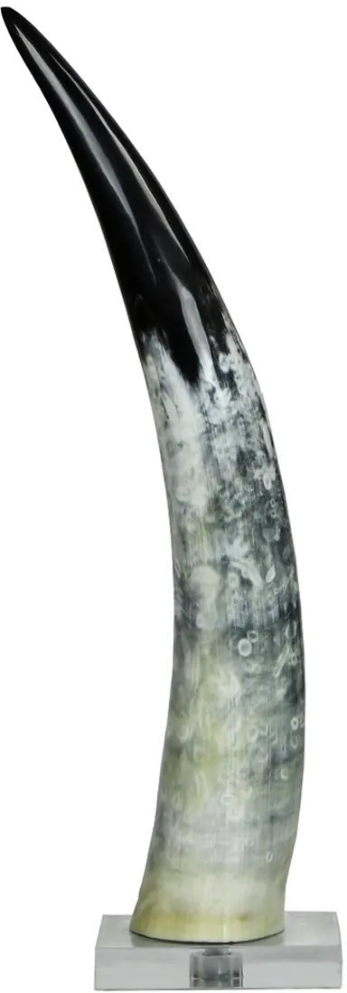 Medium Black and White Cow Horn On a Base-1